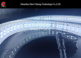 China La prenda impermeable llevó blanco caliente blanco frío de las luces de tira SMD5050 12V 24V proveedor