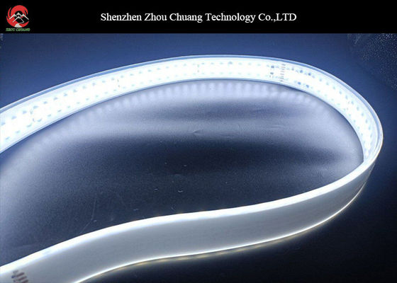 La prenda impermeable llevó blanco caliente blanco frío de las luces de tira SMD5050 12V 24V proveedor