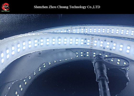 La prenda impermeable llevó blanco caliente blanco frío de las luces de tira SMD5050 12V 24V proveedor