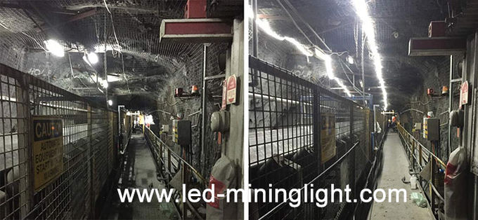 El metro industrial blanco fresco del alto brillo llevó voltio 300 LED de las luces de tira 24 la garantía 1 de 1 año